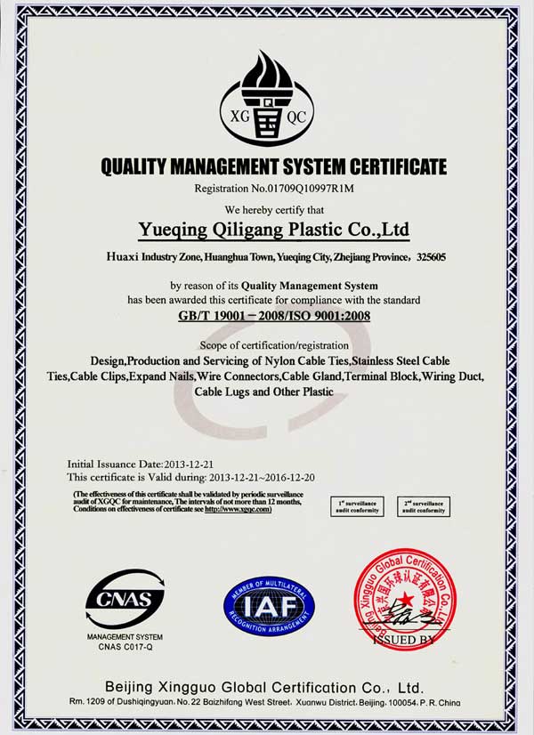 星空 ISO9001 Certificate Qiligang